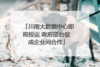 川南大数据中心即将投运 政府搭台促成企业间合作