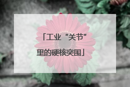 工业“关节”里的硬核突围
