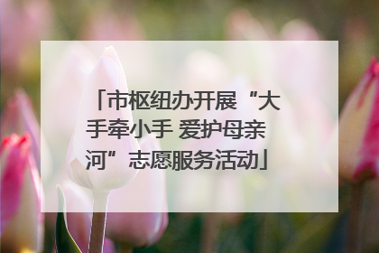 市枢纽办开展“大手牵小手 爱护母亲河”志愿服务活动