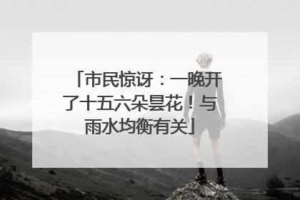 市民惊讶：一晚开了十五六朵昙花！与雨水均衡有关