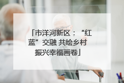 市洋河新区：“红蓝”交融 共绘乡村振兴幸福画卷