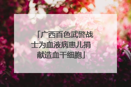 广西百色武警战士为血液病患儿捐献造血干细胞