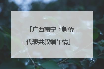广西南宁：新侨代表共叙端午情