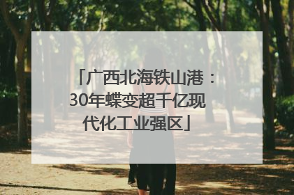 广西北海铁山港：30年蝶变超千亿现代化工业强区