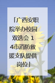 广西安职院举办校园双选会 14市消防救援支队提供岗位