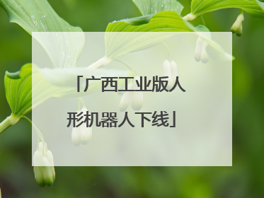 广西工业版人形机器人下线