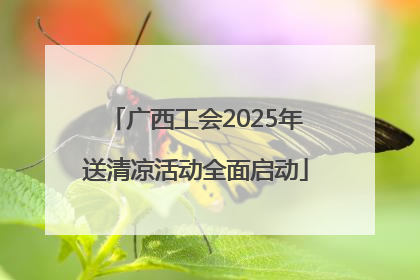 广西工会2025年送清凉活动全面启动