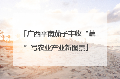 广西平南茄子丰收“蔬”写农业产业新图景
