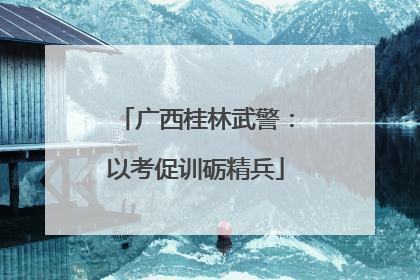 广西桂林武警：以考促训砺精兵