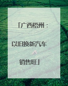 广西梧州：以旧换新汽车销售旺