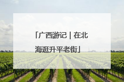 广西游记｜在北海逛升平老街