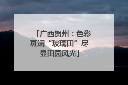广西贺州：色彩斑斓“玻璃田”尽显田园风光