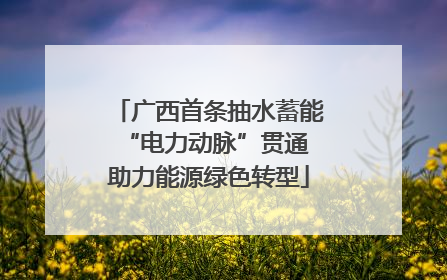广西首条抽水蓄能“电力动脉”贯通 助力能源绿色转型