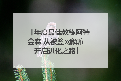 年度最佳教练阿特金森 从被篮网解雇开启进化之路