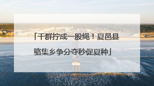 干群拧成一股绳！夏邑县骆集乡争分夺秒促夏种