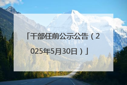 干部任前公示公告（2025年5月30日）