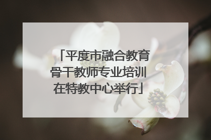 平度市融合教育骨干教师专业培训在特教中心举行