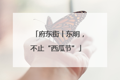 府东街丨东明，不止“西瓜节”