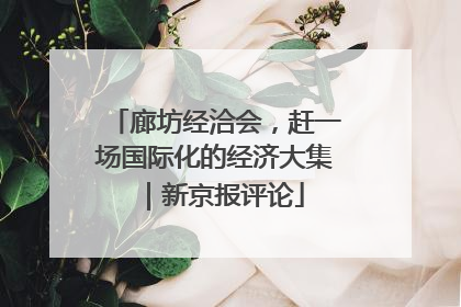廊坊经洽会，赶一场国际化的经济大集｜新京报评论