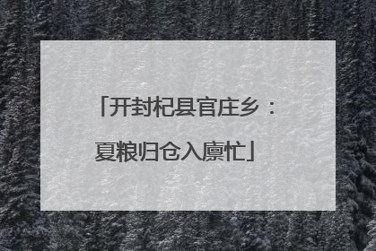 开封杞县官庄乡：夏粮归仓入廪忙