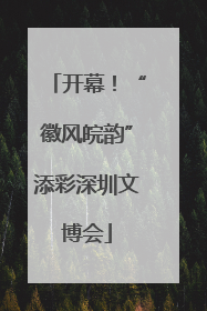 开幕！“徽风皖韵”添彩深圳文博会