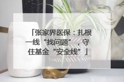 张家界医保：扎根一线“找问题”，守住基金“安全线”