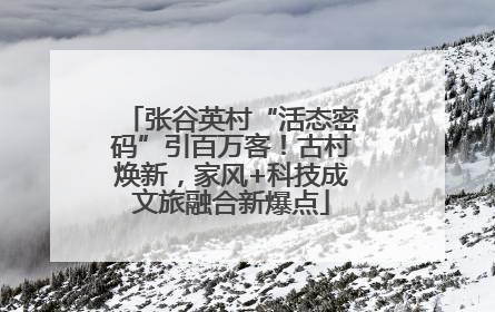 张谷英村“活态密码”引百万客！古村焕新，家风+科技成文旅融合新爆点