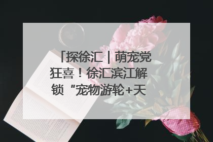 探徐汇｜萌宠党狂喜！徐汇滨江解锁“宠物游轮+天台乐园”双玩法