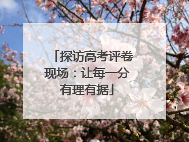 探访高考评卷现场：让每一分有理有据