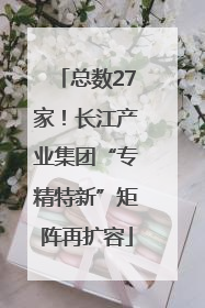 总数27家！长江产业集团“专精特新”矩阵再扩容