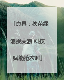息县：秧苗绿浪接麦浪 科技赋能抢农时