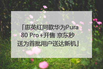 惠英红同款华为Pura 80 Pro+开售 京东秒送为首批用户送达新机