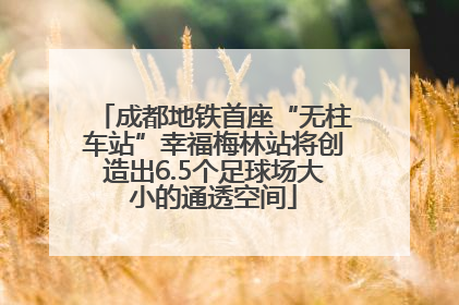 成都地铁首座“无柱车站”幸福梅林站将创造出6.5个足球场大小的通透空间