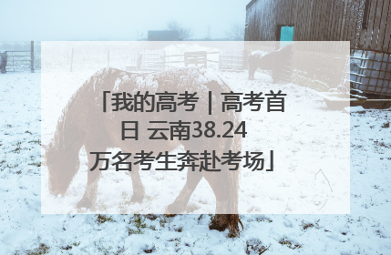 我的高考｜高考首日 云南38.24万名考生奔赴考场