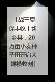 战三夏 保丰收丨新乡县：20万亩小麦种子田开启大规模收割