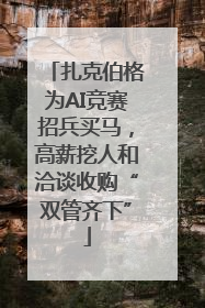 扎克伯格为AI竞赛招兵买马，高薪挖人和洽谈收购“双管齐下”