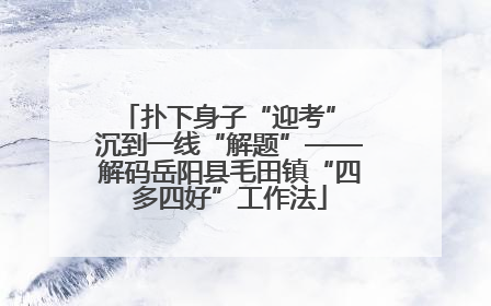 扑下身子“迎考” 沉到一线“解题”——解码岳阳县毛田镇“四多四好”工作法