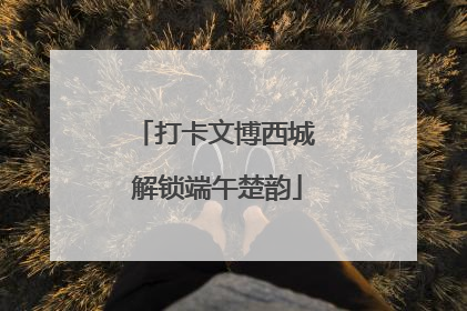 打卡文博西城 解锁端午楚韵