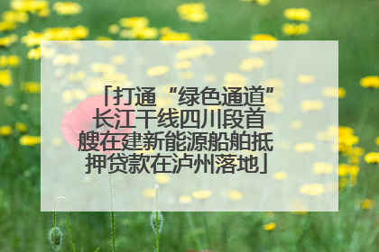 打通“绿色通道” 长江干线四川段首艘在建新能源船舶抵押贷款在泸州落地