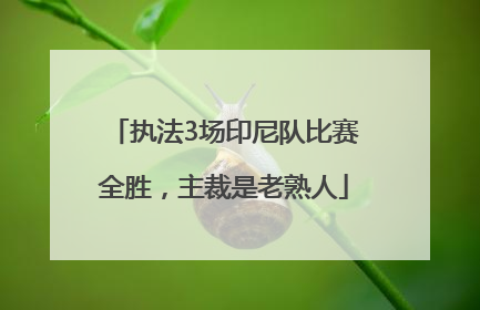 执法3场印尼队比赛全胜，主裁是老熟人