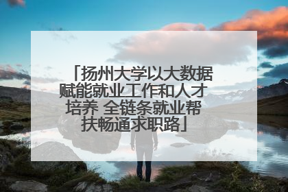 扬州大学以大数据赋能就业工作和人才培养 全链条就业帮扶畅通求职路