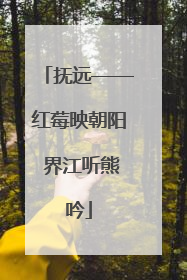 抚远——红莓映朝阳 界江听熊吟