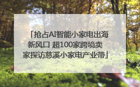 抢占AI智能小家电出海新风口 超100家跨境卖家探访慈溪小家电产业带