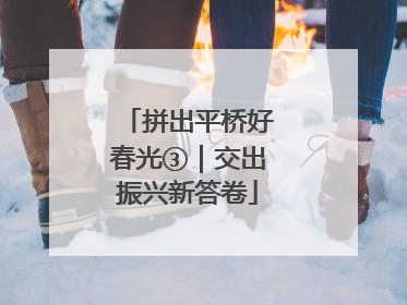 拼出平桥好春光③｜交出振兴新答卷