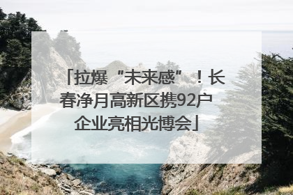 拉爆“未来感”！长春净月高新区携92户企业亮相光博会