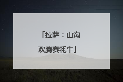 拉萨：山沟欢腾赛牦牛
