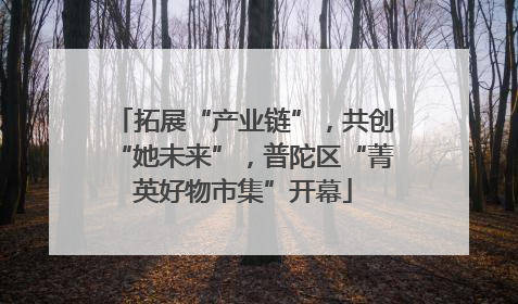 拓展“产业链”，共创“她未来”，普陀区“菁英好物市集”开幕