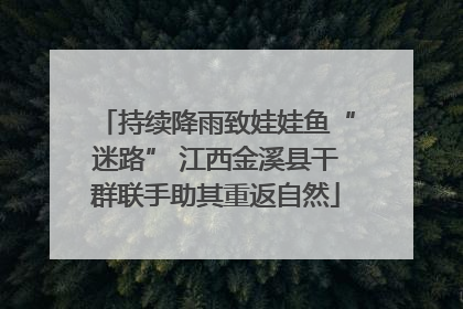持续降雨致娃娃鱼“迷路” 江西金溪县干群联手助其重返自然