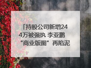 持股公司新增244万被强执 李亚鹏“商业版图”再陷泥潭？｜科技观察