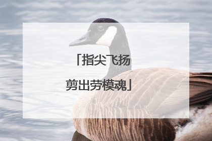 指尖飞扬 剪出劳模魂
